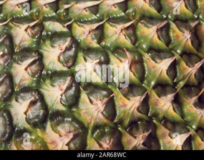 Abstract nature background texture of pineapple skin Stock Photo