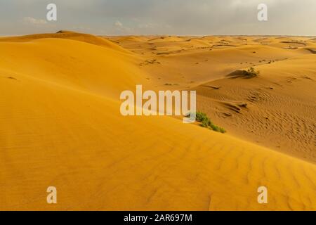 Sunset in the sand dunes of Dash-e Lut, Iran. Stock Photo