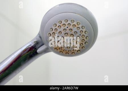 Old shower head with plaque. Dirty plastic shower head. Limescale coating on plumbing. Stock Photo