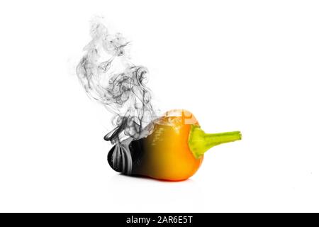 One whole smoking chili pepper isolated on white background Stock Photo