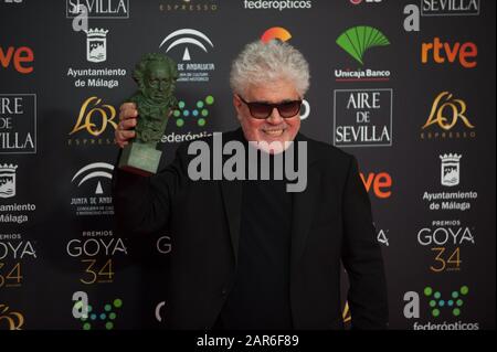 Spanish director Pedro Almodovar poses with his Goya award for the best director on 'Dolor y Gloria' (Pain and Glory) during the 34th edition of Spanish Film Academy's Goya Awards ceremony, at Jose Maria Martin Carpena Sport Palace. Stock Photo