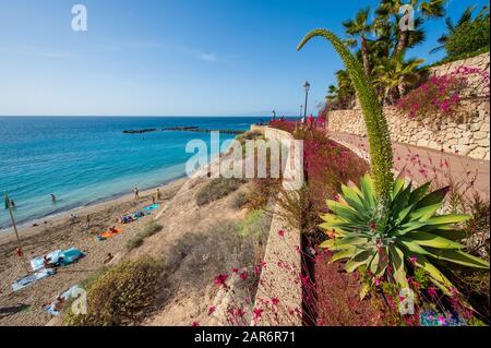 CANARY ISLAND TENERIFE, SPAIN - 27 DEC, 2019: Beautiful plants between the beach and the boardwalk of Playa El Duque. It’ one of the most popular beac Stock Photo