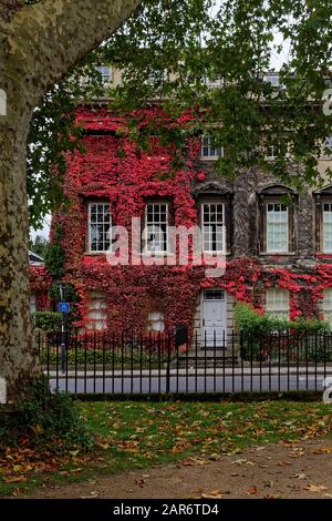 Bath in glorious Autumn colours Stock Photo