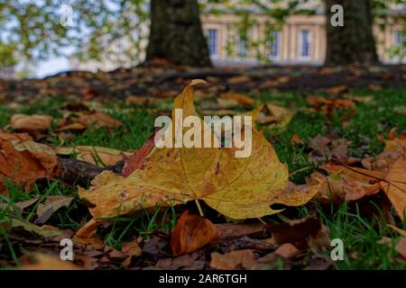 Bath in glorious Autumn colours Stock Photo