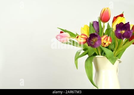 Springtime - Beginning of the year - Tulips on colored background Stock Photo