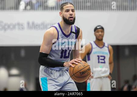 Charlotte hornets hi-res stock photography and images - Alamy