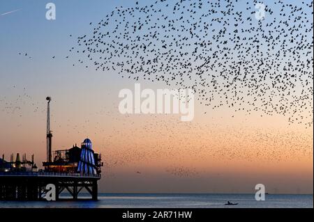 Spectacular murmuration of starlings at sunset next to the helter- skelter on Brighton Palace Pier on the south coast of England. Stock Photo