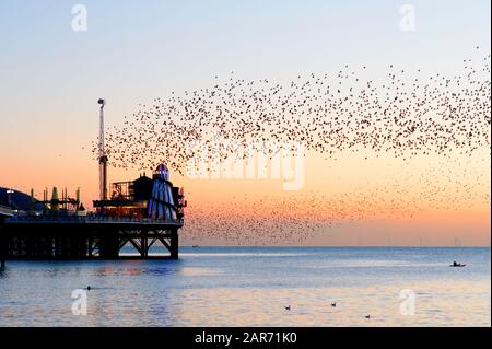 Spectacular murmuration of starlings at sunset next to the helter- skelter on Brighton Palace Pier on the south coast of England. Stock Photo