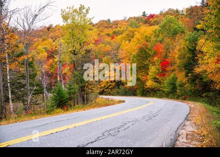 Curve along a country road running through a forest at the peak of autumn foliage colours on a cloudy day