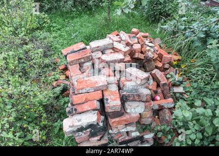 lot of cracked, burnt, old, clay, red bricks after dismantling building on garden plot in green and yellow flowers Rudbeckia . Ripe apples fell from t Stock Photo
