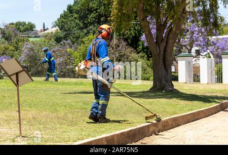 Man wearing protective clothing and safety helmet strimming grass in a garden. Western Cape, South Africa Stock Photo