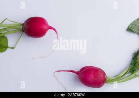 Two ripe red radishes. Stock Photo