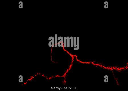 Red electric discharges on a black background. Glowing lightning that creates a magical light effect Stock Photo