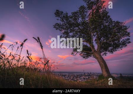 Cityscape image of Auckland, New Zealand taken from Mt. Eden at sunset.