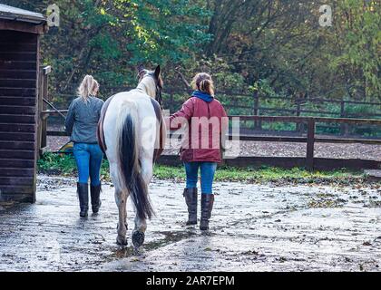 UK, Sheffield - Oct 2020: Mother and daughter walking with a horse through a stable yard Stock Photo