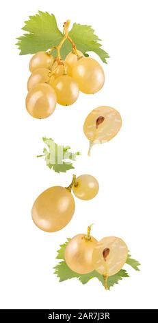 Floating white wine grapes isolated on white background Stock Photo