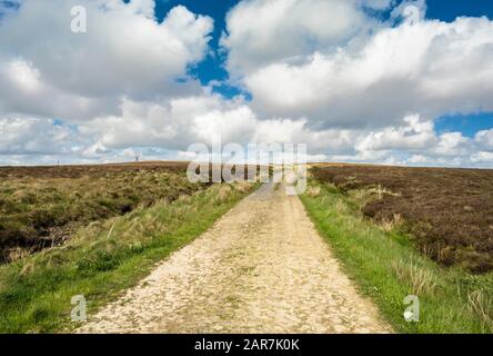 Track across bog and heathland on top of Wolftrap Mountain, Slieve Bloom Mountains, County Offaly, Ireland Stock Photo
