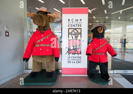 Moose and bear stuffed and dressed as Canadian Mountie, Royal Canadian Mounted Police (RCMP) Heritage Centre, Regina, Saskatchewan, Canada Stock Photo