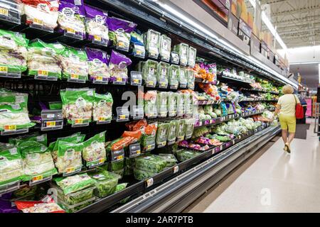 Hallandale Florida,Walmart,inside interior,shopping,discount department store,supermarket,produce,prepackaged salads,woman,customer,FL191231134 Stock Photo