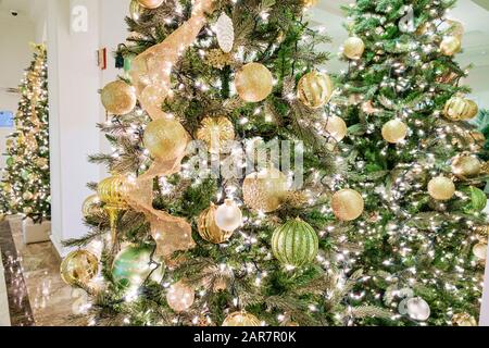 Miami Beach Florida,Christmas tree decorated decorations,holiday,lights,FL191231146 Stock Photo