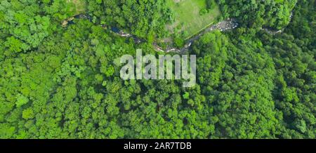 Green forest and flowing river, aerial view. Texture of green forest Stock Photo