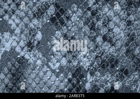 Texture of genuine leather close-up, embossed under the skin of blue reptile. For modern pattern, wallpaper or banner design Stock Photo