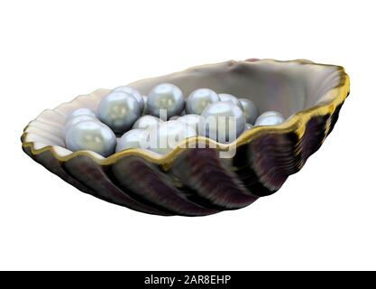 Open shell with white pearls isolated on white background. Beautiful half of clam shell and pearls. Shiny white pearls in mother of peral Stock Photo