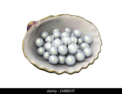 Open shell with white pearls isolated on white background. Beautiful half of clam shell and pearls. Shiny white pearls in mother of peral Stock Photo