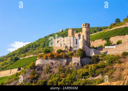 Historic Maus Castle, Sankt Goar Germany, seen from along the Rhine River Stock Photo
