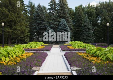 Grey paving stone footpath through raised stone borders with purple Angelonia angustifolia 'Serena Purple' - Summer Snapdragon, yellow Rudbeckia hirta Stock Photo