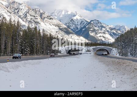Animal overpass on the Trans Canada Highway in Banff National Park, Alberta, Canada Stock Photo