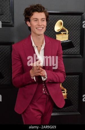 LOS ANGELES, CALIFORNIA, USA - JANUARY 26: Singer Shawn Mendes wearing a Louis  Vuitton suit and Bvlgari jewelry arrives at the 62nd Annual GRAMMY Awards  held at Staples Center on January 26