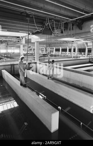 New water treatment and pumping station under construction in the IJsselmeer between Enkhuizen and Andijk  Waterschoepophaning is installed by two mechanics Date: February 2, 1981 Location: Andijk, Enkhuizen, IJsselmeer Keywords: workers, buildings, mills, mechanics, enterprises, water management Stock Photo