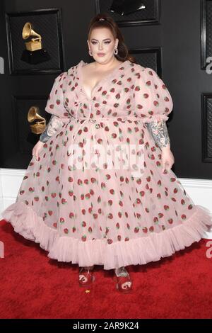 Tess Holliday arrives at the 62nd annual Grammy Awards at the Staples ...