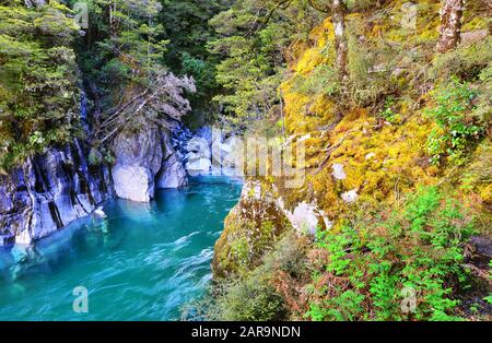 The Blue Pools of Haast Pass in New Zealand Stock Photo
