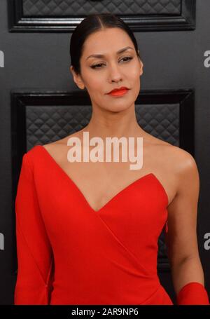Janina Gavankar arrives at the 62nd Annual Grammy Awards red carpet