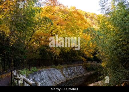 Colorful autumn trail with watercourse in countryside of Osaka, Japan Stock Photo