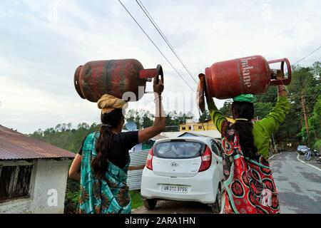 Women carrying LPG cylinders, Deodars Guest House, Papersali, Almora, Uttarakhand, India, Asia Stock Photo