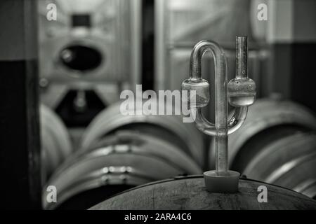 Dopff Au Moulin, Wine Distillery, Riquewihr, Alsace, France, Europe Stock Photo