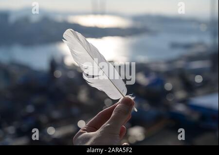 Feather in hand on the sky background. Stock Photo