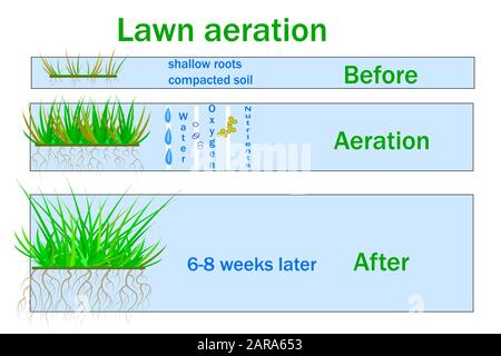 Lawn aeration for active plant growth. Free access of water and air to soil. Lawn grass care service, landscape design services. Vector infographics Stock Vector