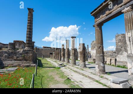 The Forum of the ancient city of Pompeii and the Tample of Apollo. Stock Photo