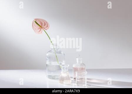 Beautiful composition with perfume samples and flowers on table Stock Photo