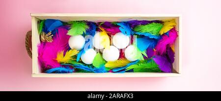 Creative layout made of white chicken eggs in wooden box with colorful feathers trendy neon colors on pink coral color background. Spring and Easter holiday concept with copy space. Flat lay close up. Stock Photo