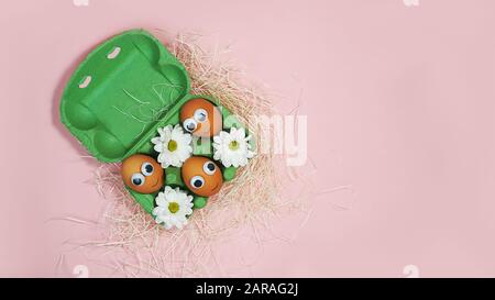 Top view to brown chicken eggs with eyes and smile in green box carton, flowers on pink coral color background. Spring and Easter holiday concept with copy space. Funny Easter eggs. Stock Photo