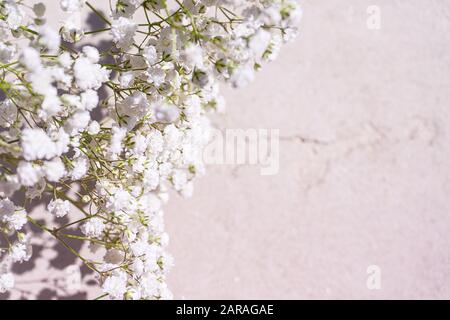 Beautiful bouquet of white flowers with shadows on light gray concrete background. Concept for wedding party, birthday holiday greeting card. Close up, top view, flat lay, copy space. Soft focus. Stock Photo