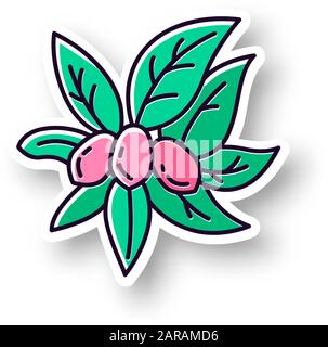 Jojoba patch. RGB color printable sticker. Miracle fruit. Brazilian fruit with leaves. Botany. Exotic plant. Cosmetic oil production. Vector isolated Stock Vector