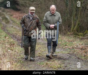 two men with shotguns on a pheasant shoot Stock Photo