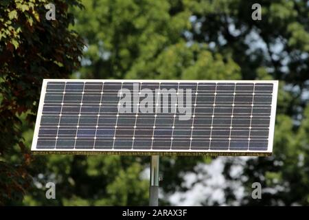 Small elongated solar panel used to power LED traffic sign mounted on top of strong metal pole in local public park surrounded with dense trees Stock Photo