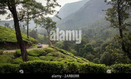 Driving through Tea plantations in Munnar, Kerala, India Stock Photo